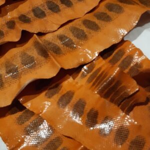Snake Skins (Sea Snake) Orange