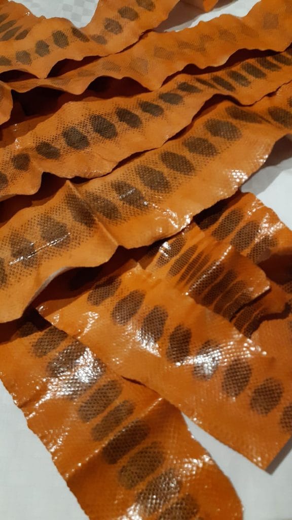 Snake Skins (Sea Snake) Orange