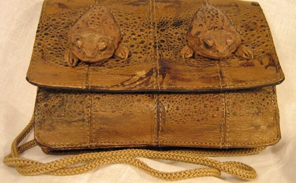 Toad Shoulder Bag on String with 2 Toad Heads