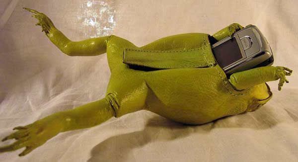 Toad Phone Holder with Velcro Loop