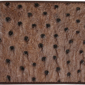 Ostrich Leather Bi-Fold Wallet - Body Skin