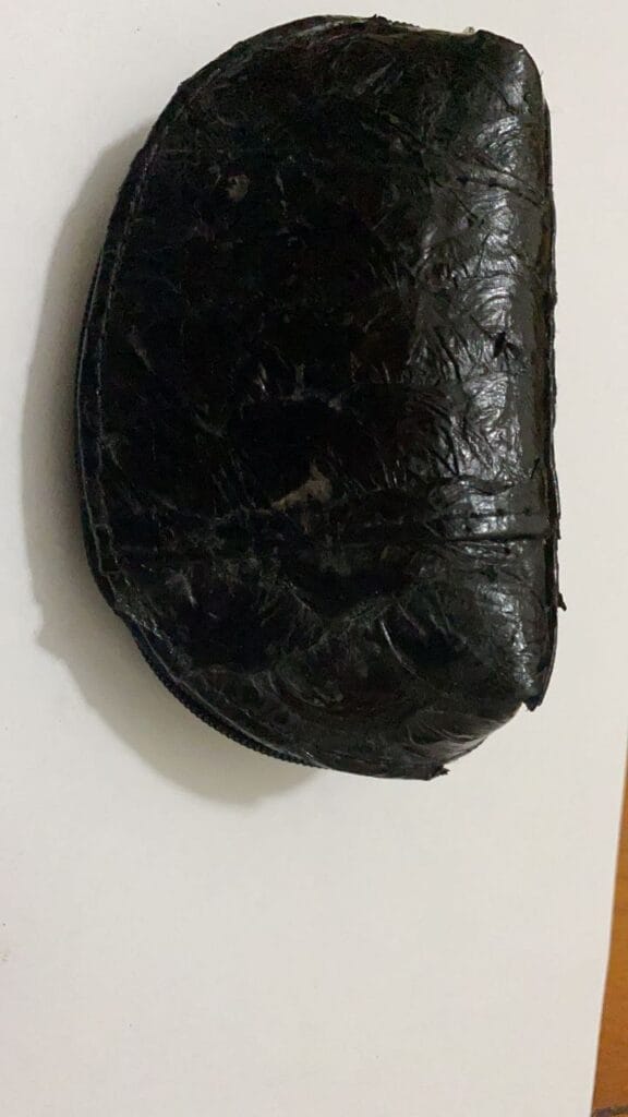 barramundi coin purse medium