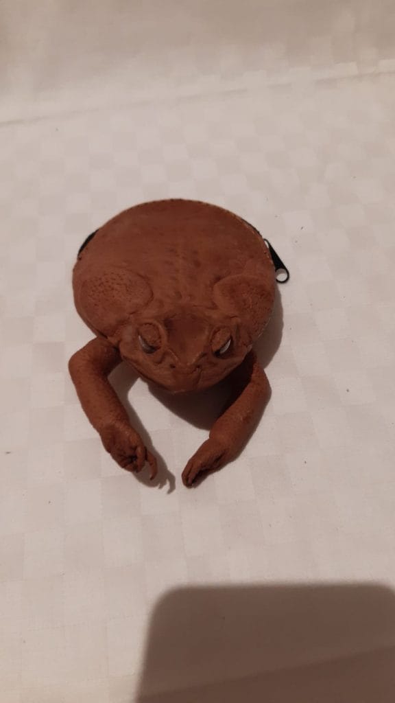 Cane toad coin purses
