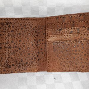 Men's Trifold Canetoad Wallet