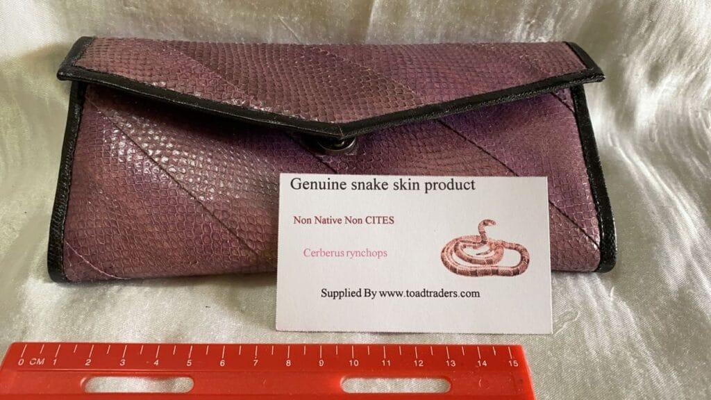 Snakeskin Ladies Purse