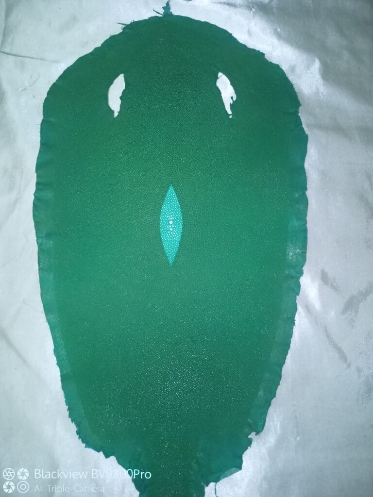 stingray skins size 11 green with eye scaled
